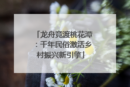 龙舟竞渡桃花潭：千年民俗激活乡村振兴新引擎