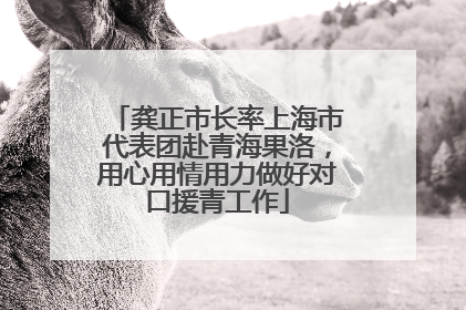 龚正市长率上海市代表团赴青海果洛，用心用情用力做好对口援青工作
