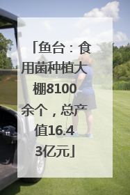 鱼台：食用菌种植大棚8100余个，总产值16.43亿元