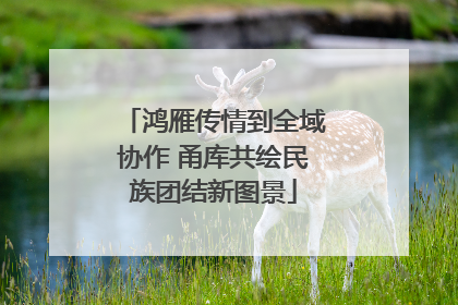 鸿雁传情到全域协作 甬库共绘民族团结新图景