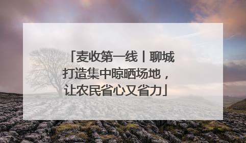 麦收第一线丨聊城打造集中晾晒场地，让农民省心又省力