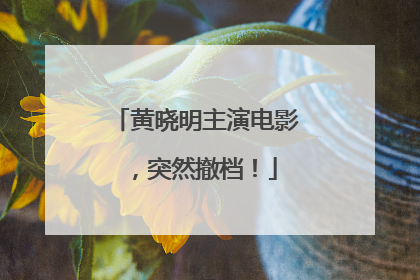 黄晓明主演电影，突然撤档！