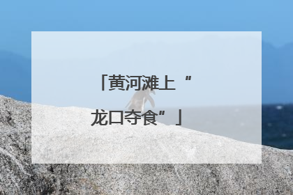 黄河滩上“龙口夺食”