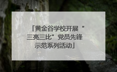 黄金谷学校开展“三亮三比”党员先锋示范系列活动