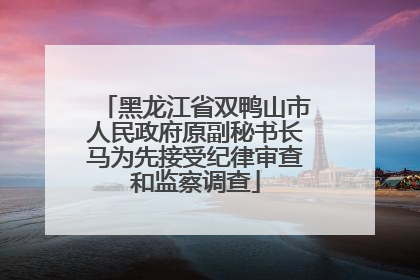 黑龙江省双鸭山市人民政府原副秘书长马为先接受纪律审查和监察调查