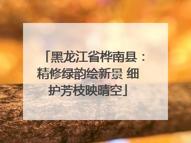 黑龙江省桦南县：精修绿韵绘新景 细护芳枝映晴空