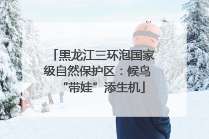 黑龙江三环泡国家级自然保护区：候鸟“带娃”添生机