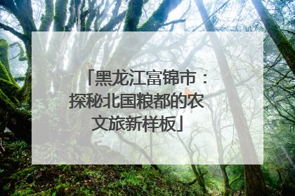 黑龙江富锦市：探秘北国粮都的农文旅新样板