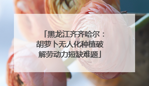 黑龙江齐齐哈尔：胡萝卜无人化种植破解劳动力短缺难题