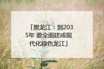 黑龙江：到2035年 要全面建成现代化绿色龙江