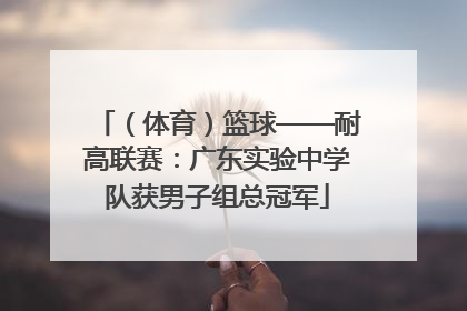 （体育）篮球——耐高联赛：广东实验中学队获男子组总冠军