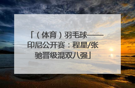 （体育）羽毛球——印尼公开赛：程星/张驰晋级混双八强