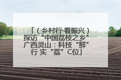 （乡村行·看振兴）探访“中国荔枝之乡”广西灵山：科技“鲜”行 实“荔”C位