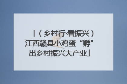 （乡村行·看振兴）江西赣县小鸡蛋“孵”出乡村振兴大产业