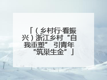 （乡村行·看振兴）浙江乡村“自我重塑” 引青年“筑巢生金”