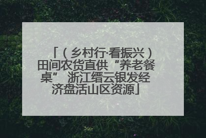 （乡村行·看振兴）田间农货直供“养老餐桌” 浙江缙云银发经济盘活山区资源