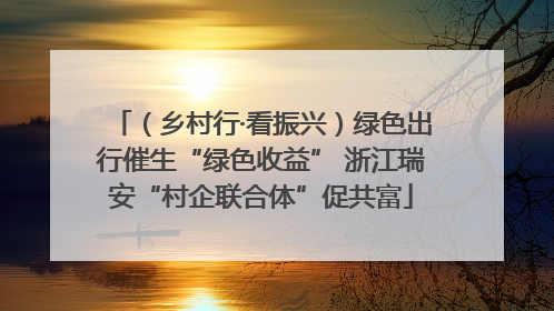 （乡村行·看振兴）绿色出行催生“绿色收益” 浙江瑞安“村企联合体”促共富