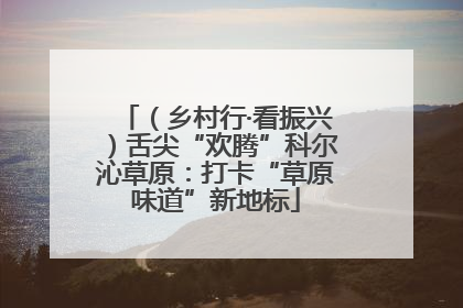 （乡村行·看振兴）舌尖“欢腾”科尔沁草原：打卡“草原味道”新地标