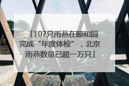 107只雨燕在颐和园完成“年度体检”，北京雨燕数量已超一万只