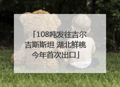 108吨发往吉尔吉斯斯坦 湖北鲜桃今年首次出口