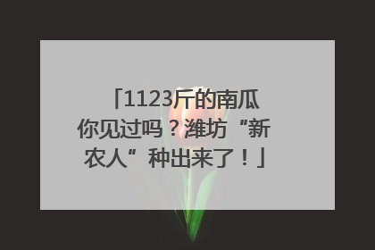 1123斤的南瓜你见过吗？潍坊“新农人”种出来了！