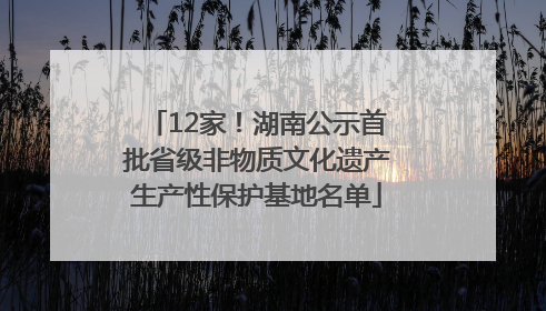 12家！湖南公示首批省级非物质文化遗产生产性保护基地名单