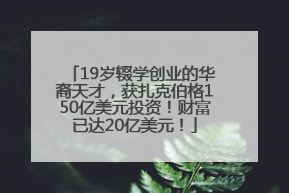 19岁辍学创业的华裔天才，获扎克伯格150亿美元投资！财富已达20亿美元！