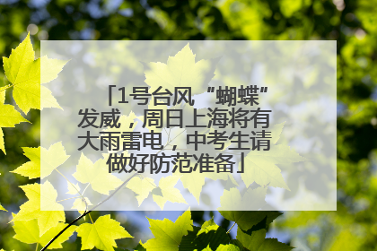 1号台风“蝴蝶”发威，周日上海将有大雨雷电，中考生请做好防范准备