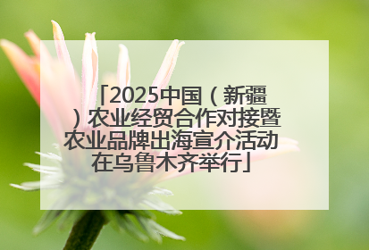 2025中国（新疆）农业经贸合作对接暨农业品牌出海宣介活动在乌鲁木齐举行