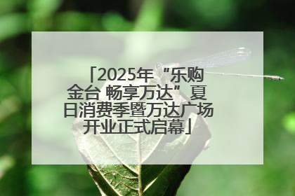 2025年“乐购金台 畅享万达”夏日消费季暨万达广场开业正式启幕