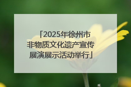 2025年徐州市非物质文化遗产宣传展演展示活动举行