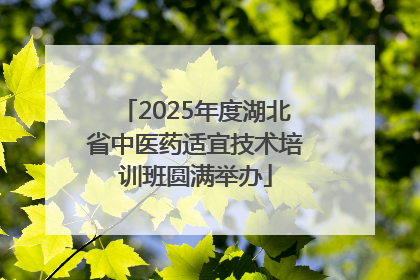 2025年度湖北省中医药适宜技术培训班圆满举办