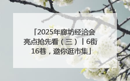 2025年廊坊经洽会亮点抢先看（三）丨6街16巷，邀你逛市集