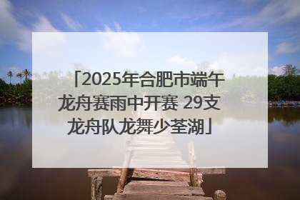 2025年合肥市端午龙舟赛雨中开赛 29支龙舟队龙舞少荃湖