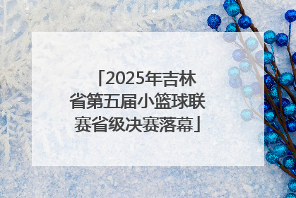 2025年吉林省第五届小篮球联赛省级决赛落幕