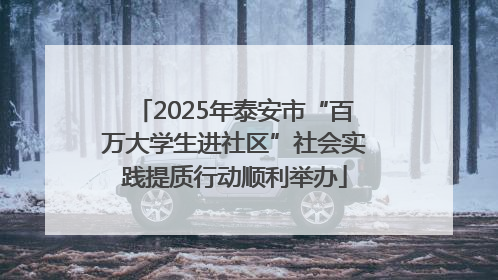 2025年泰安市“百万大学生进社区”社会实践提质行动顺利举办