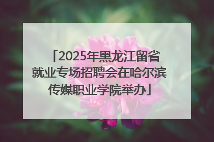 2025年黑龙江留省就业专场招聘会在哈尔滨传媒职业学院举办