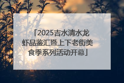 2025吉水清水龙虾品鉴汇暨上下老街美食季系列活动开幕