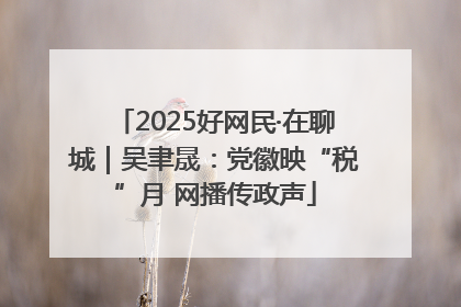 2025好网民·在聊城｜吴聿晟：党徽映“税”月 网播传政声