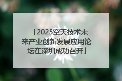 2025空天技术未来产业创新发展应用论坛在深圳成功召开