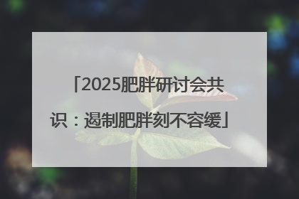 2025肥胖研讨会共识：遏制肥胖刻不容缓