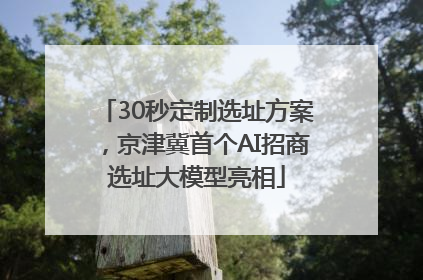 30秒定制选址方案，京津冀首个AI招商选址大模型亮相