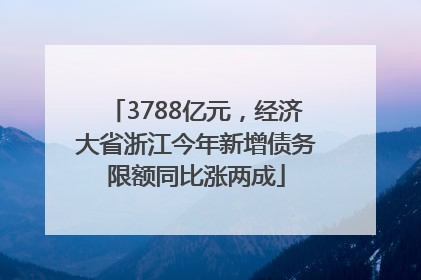 3788亿元，经济大省浙江今年新增债务限额同比涨两成