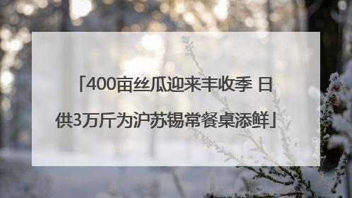 400亩丝瓜迎来丰收季 日供3万斤为沪苏锡常餐桌添鲜