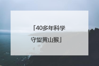 40多年科学守望黄山猴