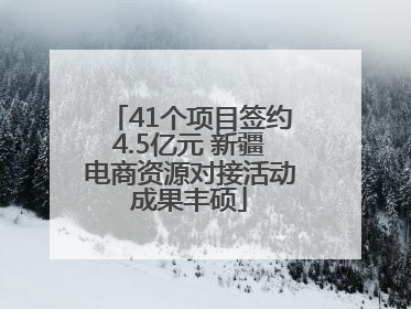 41个项目签约4.5亿元 新疆电商资源对接活动成果丰硕