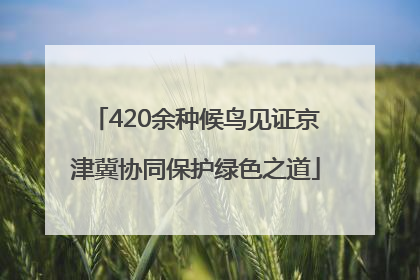 420余种候鸟见证京津冀协同保护绿色之道