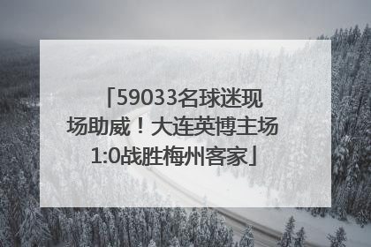 59033名球迷现场助威！大连英博主场1:0战胜梅州客家