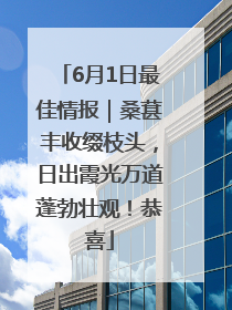 6月1日最佳情报｜桑葚丰收缀枝头，日出霞光万道蓬勃壮观！恭喜
