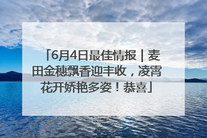 6月4日最佳情报｜麦田金穗飘香迎丰收，凌霄花开娇艳多姿！恭喜